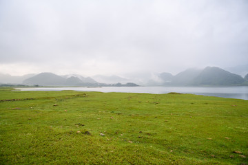 简述辩证否定观的基本内容