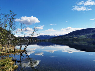 简述辩证否定观的基本内容