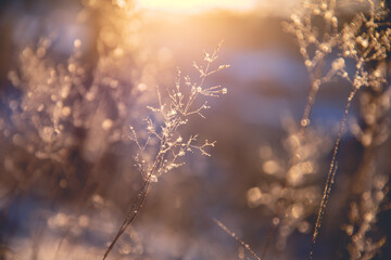 京东上门取件运费怎么算