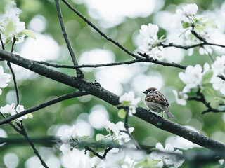 联合证券行情下载,联合证券行情下载app