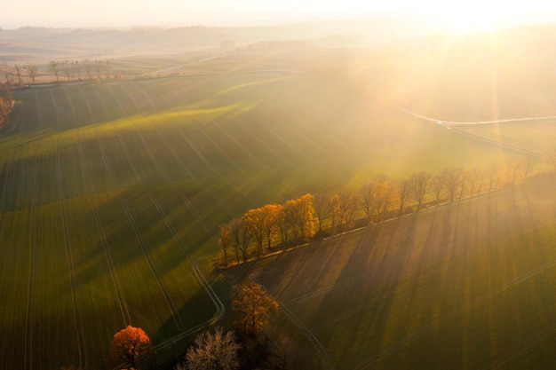 微基金，微基金企业蚂蚁的绿色logo
